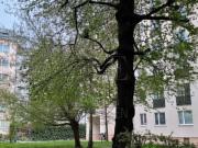 Renovierte Neubauwohnung mit Fernwärme