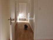 Renovierte, ruhige DG Wohnung 2 Zimmer zwischen...