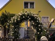 Renoviertes 6.5 Zimmer Einfamilienhaus mit grosszügigem...