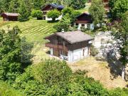 Renoviertes Chalet mit Aussicht und Ruhe in Arbaz