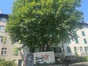 Rent a 2 rooms apartment in Basel Flatfox