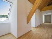 Rent a 3 ½ rooms apartment in Roggwil