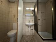 Rent a 4 rooms attic flat in Aarau