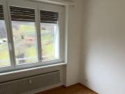 Rent a 5 ½ rooms apartment in Arbedo