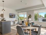 RENT THE BEST New Elevated Large STUDIO Suite Apartment for