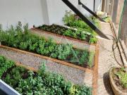 RENTA: 40,000 VENTA: 8,000,000 Estrene casa en Fracc....