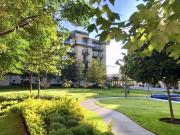 RENTA AMPLIO DEPARTAMENTO CATENA TOWERS JURIQUILLA...