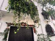 Renta casa de 4 recámaras en La Condesa