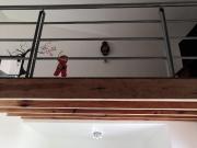 RENTA CASA EN CASCO ANTIGUO EL LUGAR PERFECTO PARA DESCANSAR