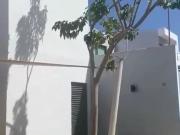 RENTA CASA TEMOZON MERIDA