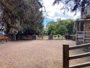 Renta casa tipo rancho