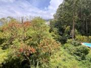 RENTA DE APARTAMENTO EN EL POBLADO, SECTOR EL CES