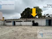 RENTA DE BODEGA, CALLE 9, COL. 20 DE NOVIEMBRE, CD....