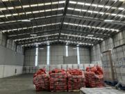 RENTA DE BODEGA EN TIJUANA