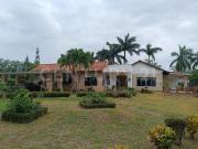 Renta de Casa en Apartadó, Urabá, Antioquia