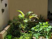 Renta De Casa Para Oficina Con Estacionamiento