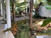 RENTA DE DEPARTAMENTO