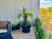 RENTA DE DEPARTAMENTO AMUEBLADO EN LOMAS DE TECAMACHALCO...