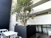 Renta de Departamento de lujo Amueblado, 2 recamaras en...