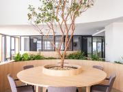 renta de departamentos en colonia juárez alcaldía cuauhtémoc