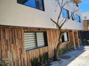 Renta de Departamentos tipo ejecutivos unipersonales