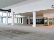 RENTA DE OFICINA OBRA GRIS EN SANTAMARIA MONTERREY