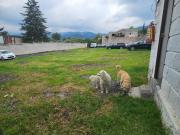 RENTA DE TERRENO EN ZONA CERCANA A 15 MINUTOS DEL...