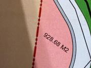 Renta de terreno Mty Santiago