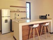 Renta Depa 1 Rec Av. 20 Casa de Sal Zazil Ha Playa del...