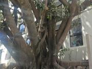 RENTA DEPA NUEVO EN PUNTO SAU PAULO