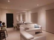 Renta departamento amueblado