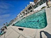 Renta Departamento completamente amueblado de una...