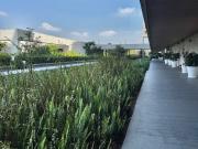 RENTA DEPARTAMENTO CUMBRES SANTA FE BASALTO