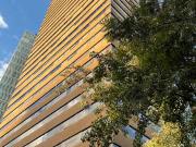 RENTA DEPARTAMENTO EN PALMAS KAMERUN LOMAS DE CHAPULTEPEC