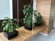 Renta departamento Lomas Chamizal, Cuajimalpa de...