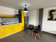 Renta Departamento Mitras Centro