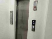 Renta Departamento Molina