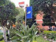 Renta departamento remodelado en Villas del Pedregal