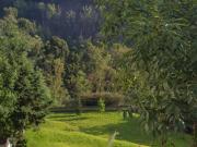 RENTA DEPARTAMENTO RESIDENCIAL JUNTO AL BOSQUE 10 MIN...