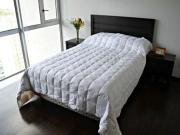 RENTA DEPARTAMENTO SANTA FE