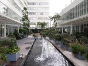 Renta Departamento Vistas del Bosque