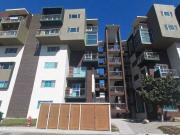 RENTA EN COTO PEDREGAL