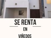 Renta en las primeras cerradas de Viñedos