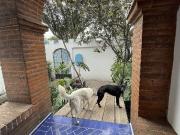 Renta en Parques del Pedregal