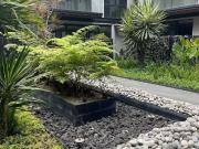 Renta espectacular departamento Polanco/Socrates