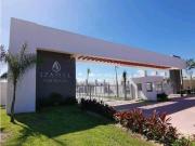 Renta Residencial Izamal