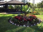 Renta Finca Tababela