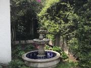 Renta Lindo Departamento Amueblado Estilo San Ángel