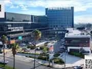 Renta Local 87m2 en Plaza, Av. Universidad, 5 de...