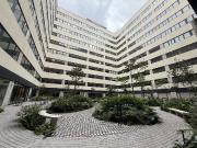 Renta Loft Amueblado a unos pasos de Reforma con alberca